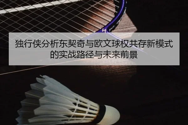 独行侠分析东契奇与欧文球权共存新模式的实战路径与未来前景