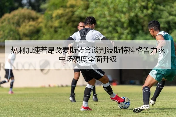 热刺加速若昂戈麦斯转会谈判波斯特科格鲁力求中场硬度全面升级